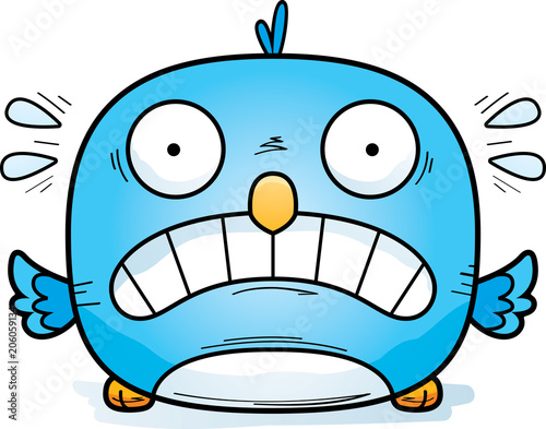 Scared Little Bluebird