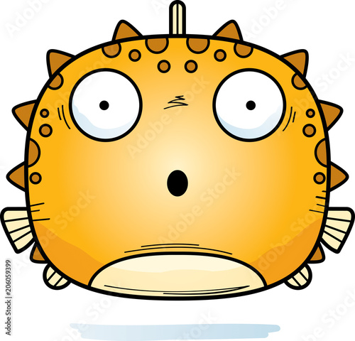 Surprised Little Blowfish
