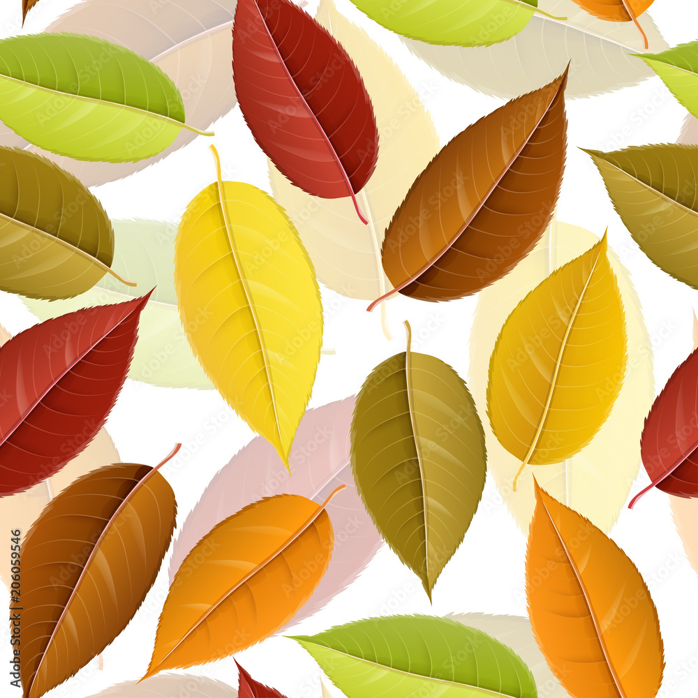 Autumn leaf seamless pattern, for autumn and fall design and background. Vector illustration