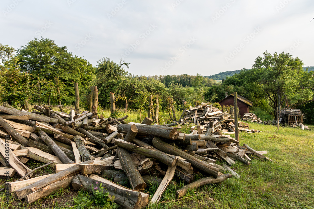 Brennholz  auf Wiese