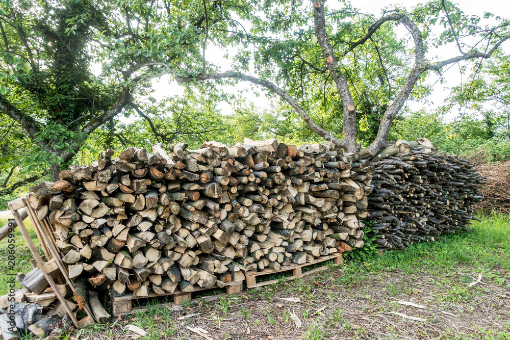 Brennholz  auf Wiese