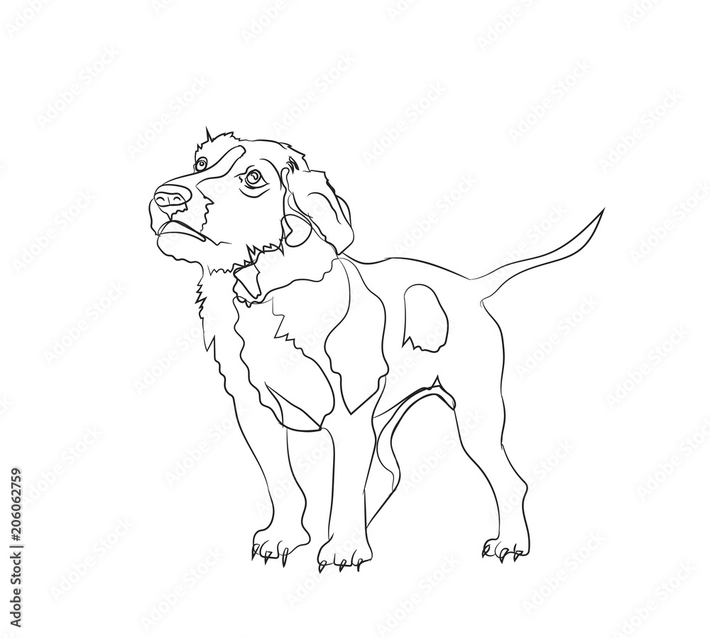 dog stands, lines, vector dog stands, lines, vector