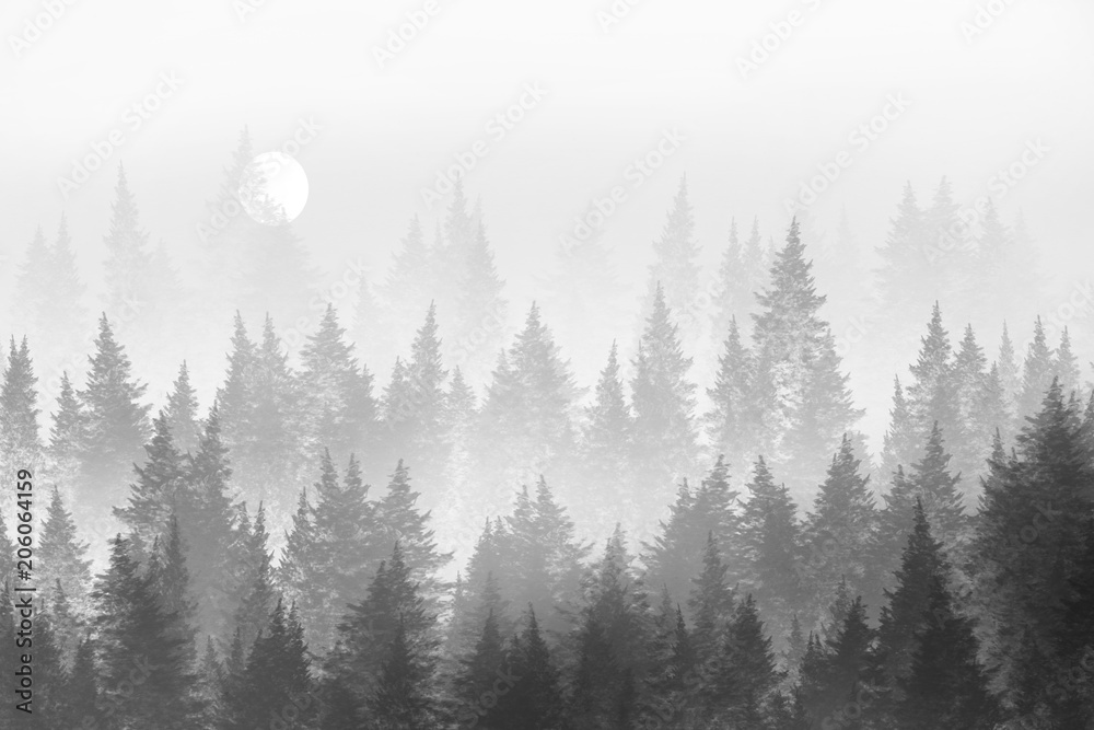 Fototapeta Minimalistyczny las we mgle. Malarstwo cyfrowe.
