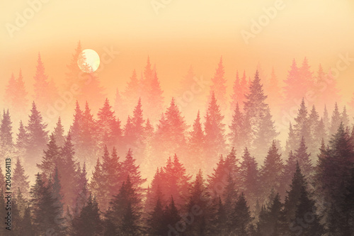 Sunset in the forest. Coniferous Trees in morning fog. Digital painting.