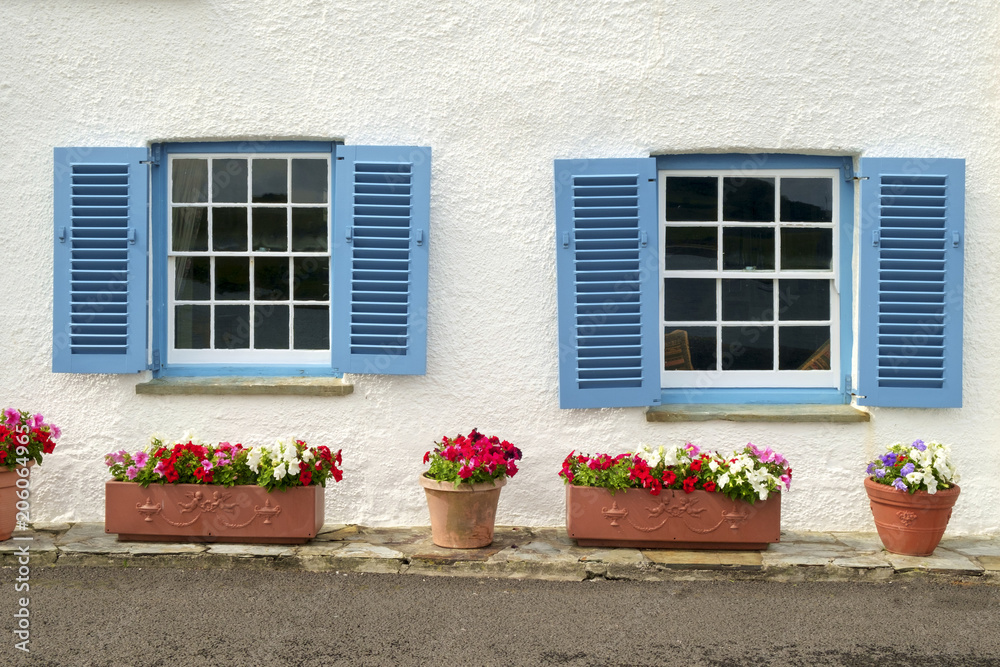 Colourful summer flowers and blue shuttered windows on a seaside house in St Mawes, Cornwall, UK