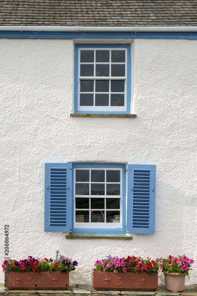 Colourful summer flowers and blue shuttered windows on a seaside house in St Mawes, Cornwall, UK