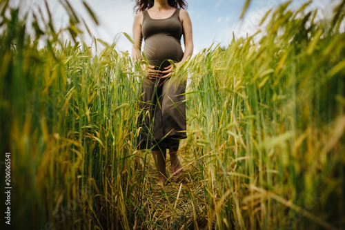 mujer embarazada entre trigales naturaleza
