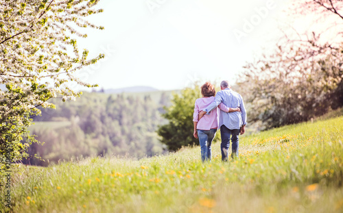 Senior couple walking arm in arm outside in spring nature. © Halfpoint