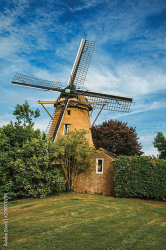 Wooden windmill, leafy bushes and green lawn under sunny blue sky at Weesp. Quiet and pleasant village full of canals and green near Amsterdam. Northern Netherlands.