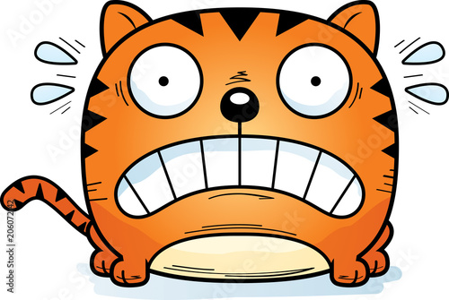 Terrified Little Cat