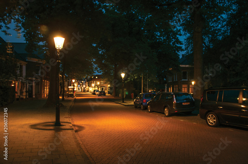 Night view of wide tree-lined street and lamp post light in the foreground at dawn in Weesp. Quiet and pleasant village full of canals and green near Amsterdam. Northern Netherlands.