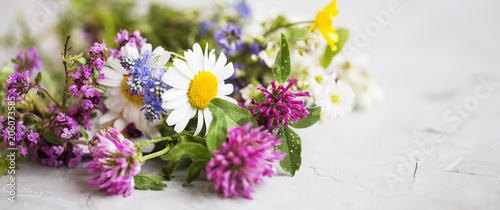 Healing herbs. Medicinal plants and flowers bouquet with mint, chamomile, thyme, clover, flax flowers