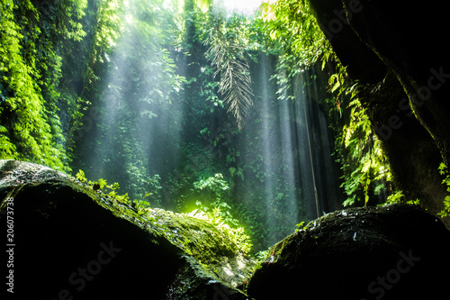 Fototapeta Naklejka Na Ścianę i Meble -  Secret beautiful tukad waterfall in canyon, Bali, Indonesia