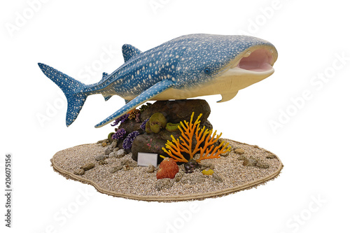 Wallpaper Mural Whale shark statue for campaign about Catching fish  with Clipping path Torontodigital.ca