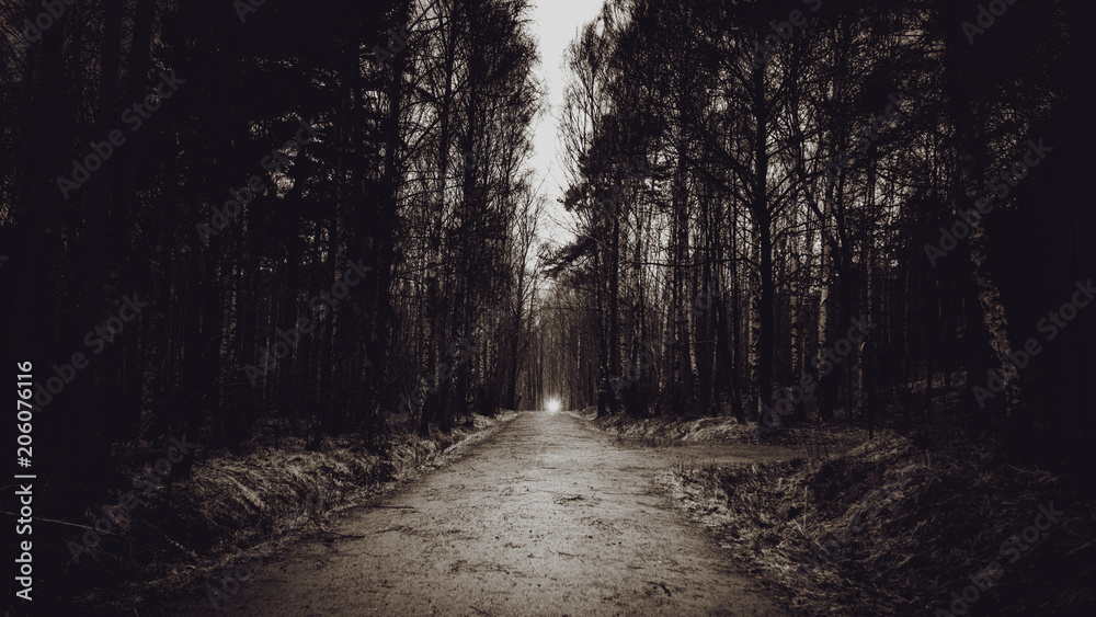 Fototapeta premium Light at the end of path