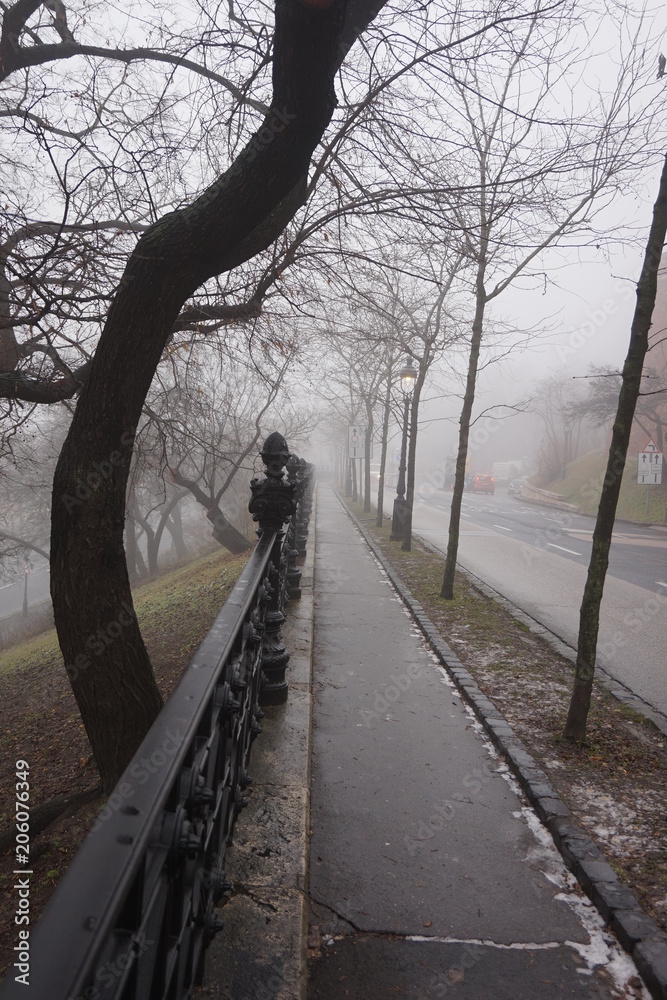 Hungria en invierno. Paisaje frío con neblina 