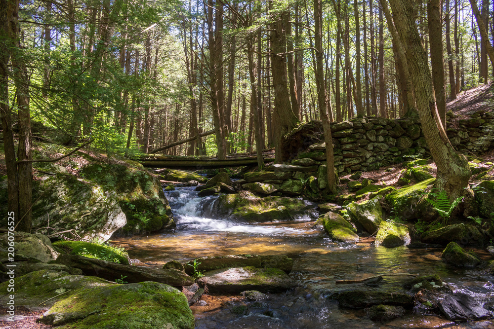 Stream flowing through the woods