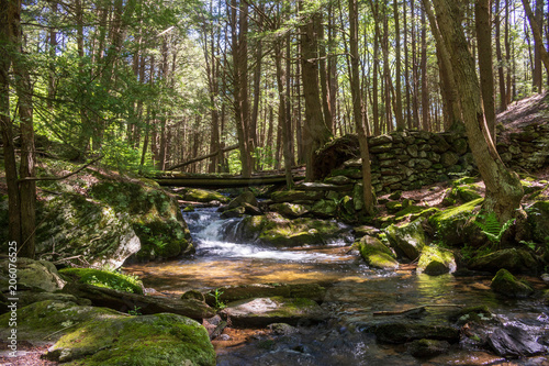 Stream flowing through the woods