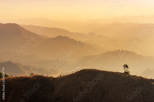 landscape view of sunset on high angle view with white fog over rainforest mountain in thailand  © Soonthorn