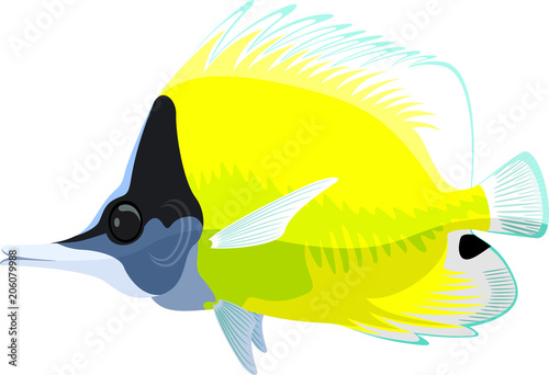 vector longnose butterflyfish