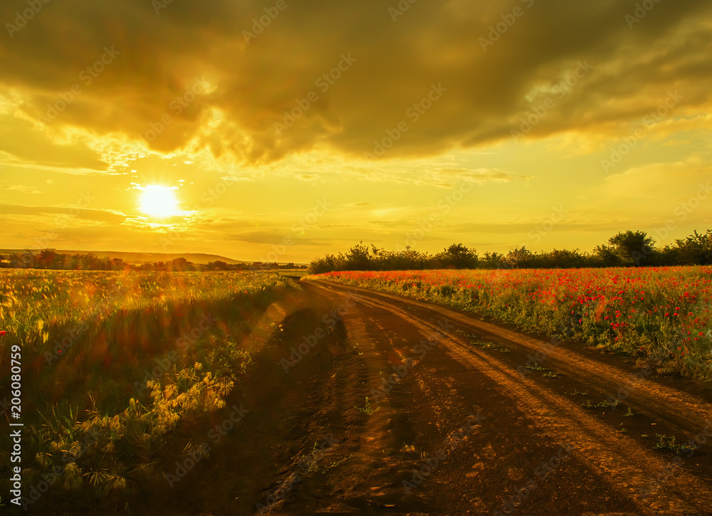  dirt Road among the fields and flowers of red poppies in a hilly area at sunset. Twilight, soft sunlight.
