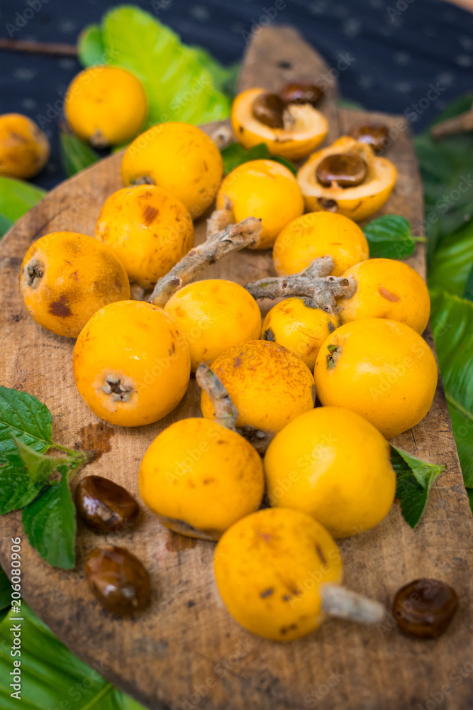 Fresh ripe mushmula or loquat fruit. Good for breakfast and desserts. Evergreen subtropical tree orange sweet and juicy fruit widely spread in Georgia, Japan, Korea, Spain and other asian countries. Fresh ripe mushmula or loquat fruit. Good for breakfast and desserts. Evergreen subtropical tree orange sweet and juicy fruit widely spread in Georgia, Japan, Korea, Spain and other asian countries.