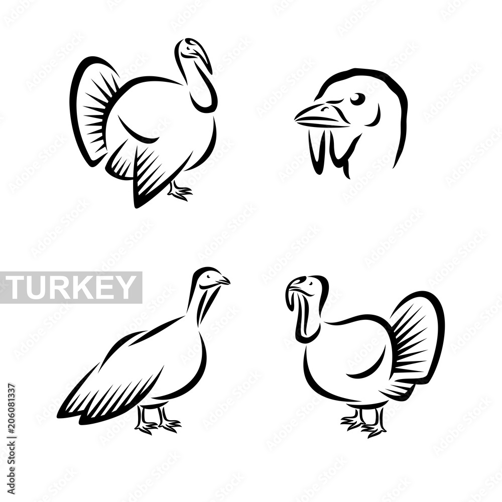 Obraz premium Turkey set. Vector