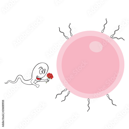 Polite sperm vector