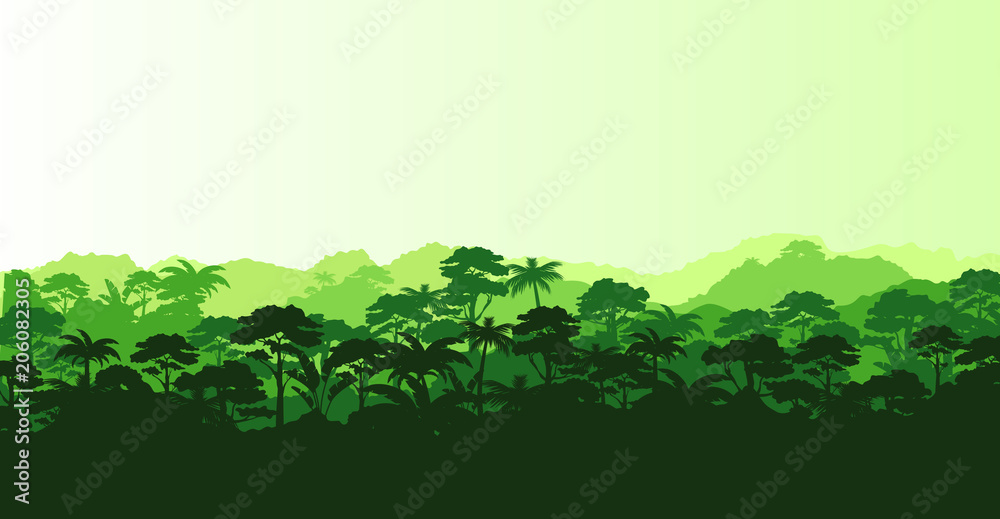 Vector illustration of horizontal panorama tropical rainforest in