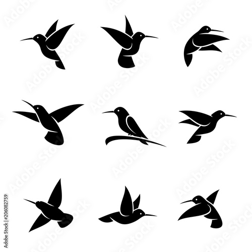 Colibri set. Vector