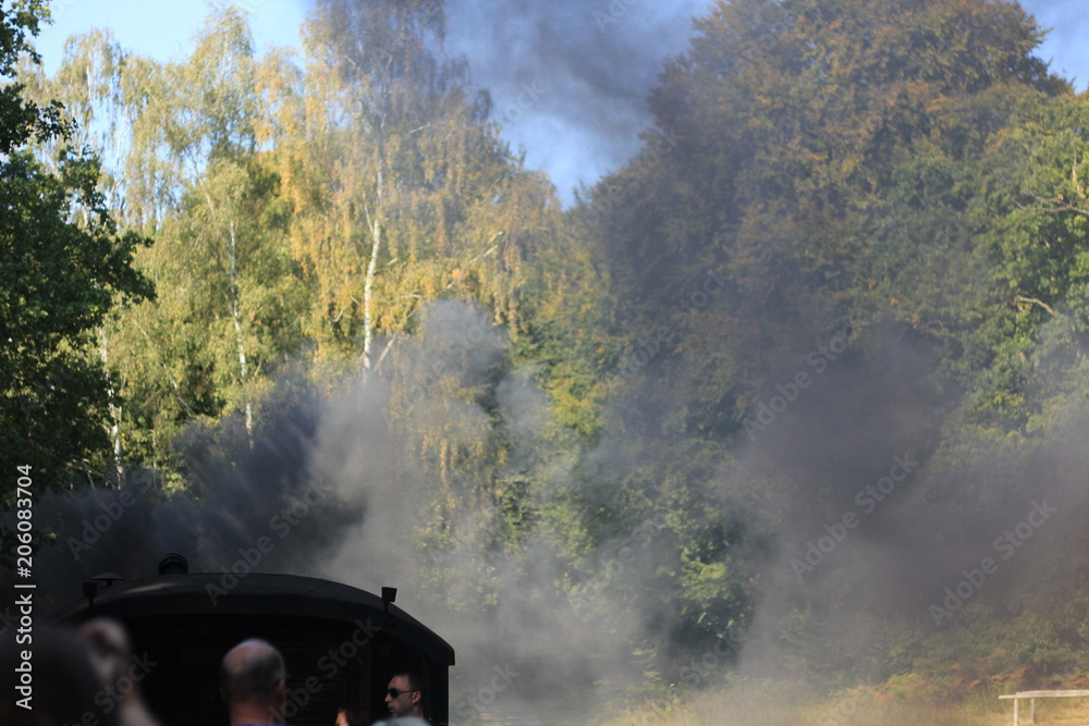 Fototapeta premium Rasender Roland 1.0