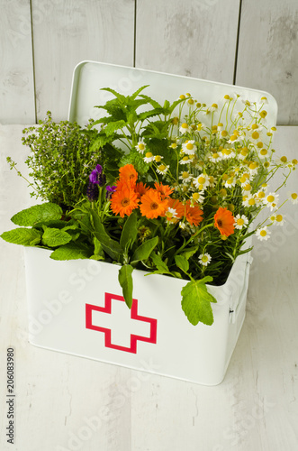 Alternative Medicine. Herbal Therapy.