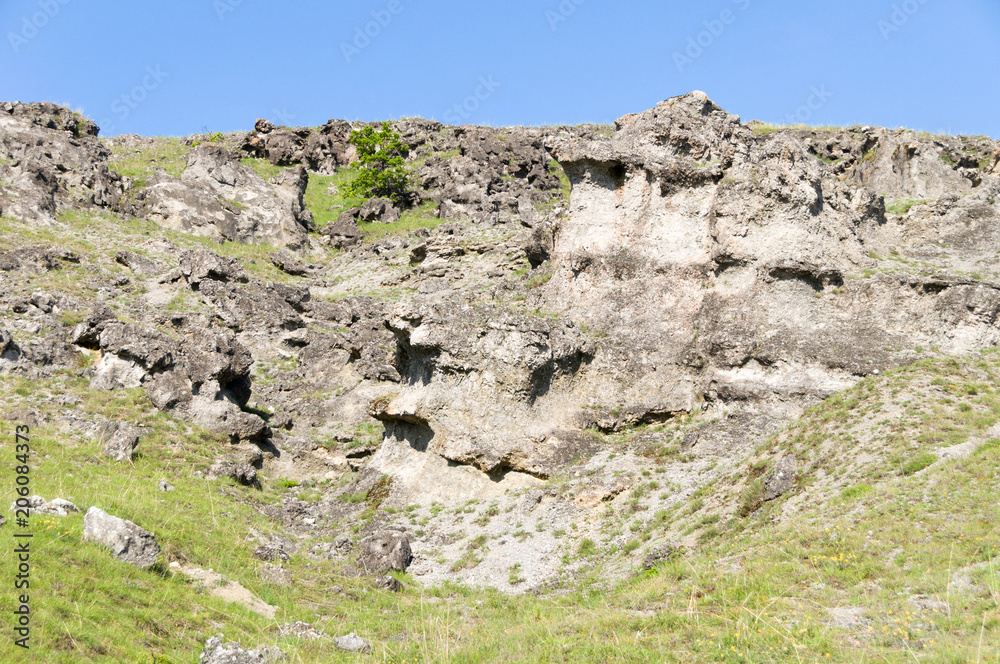 Natural phenomenon Stone Mushrooms