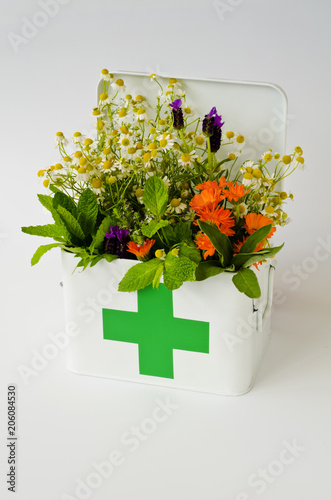 Alternative Medicine. Herbal Therapy.
