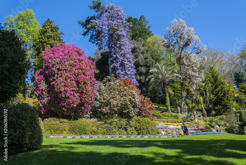 Villa Carlotta garden photo