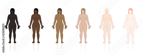 Skin types. Six naked women of different ethnic colors from black to brown to fair. Isolated vector illustration on white background.