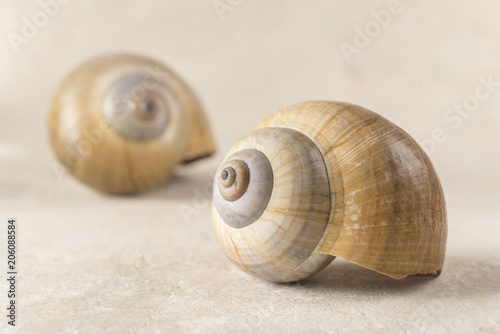 Two shell composition