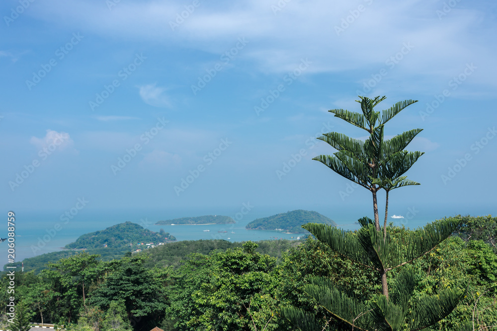 Fototapeta premium Sky and sea view over Phuket with many island and top of a pine tree