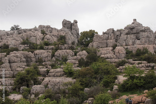 Formazione rocciosa del cammello all'inteno del parco naturale de El Torcal de Antequera photo