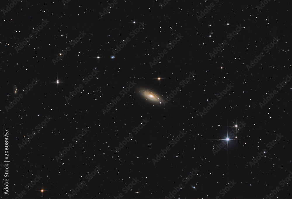 Naklejka premium NGC 2841