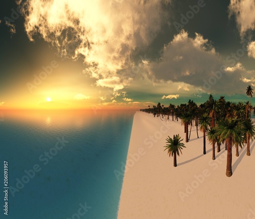 sunset over a tropical beach  ocean sunrise  palm trees on the beach   3D rendering