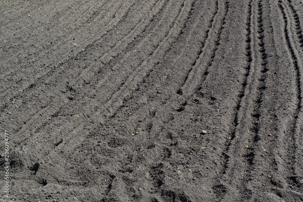 Harrow on the grey agricultural land. Prepared for planting soil Harrow on the grey agricultural land. Prepared for planting soil