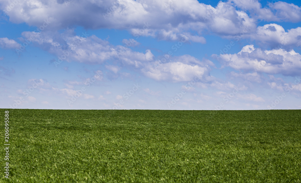 Green field and blue sky Green field and blue sky