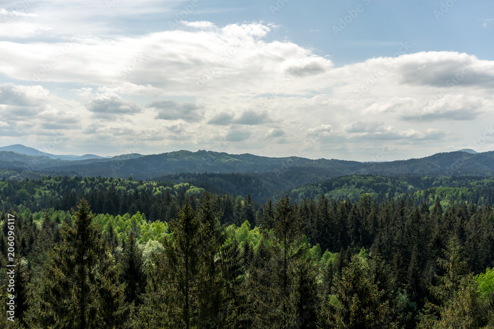 View into the Saxon Switzerland in Germany
