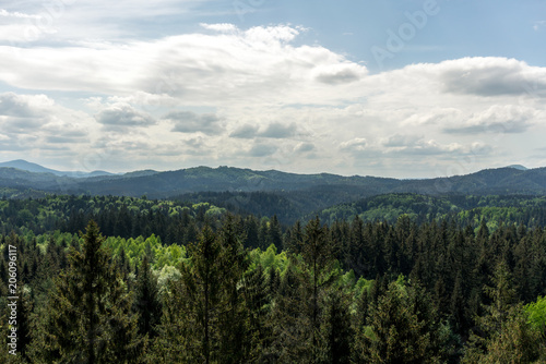 View into the Saxon Switzerland in Germany