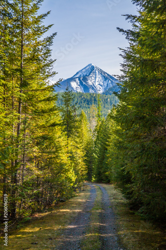 A hiking and mountain biking trail near Slocan Lake in British Columbia, Canada photo