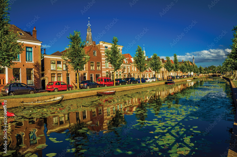 Tree-lined canal with aquatic plants and brick houses at the bank on sunset in Weesp. Quiet and pleasant village full of canals and green near Amsterdam. Northern Netherlands. Retouched photo.