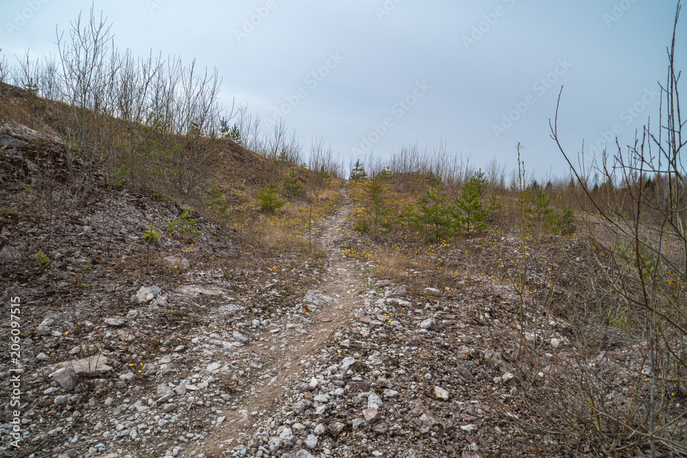 Fototapeta premium trail through the scree