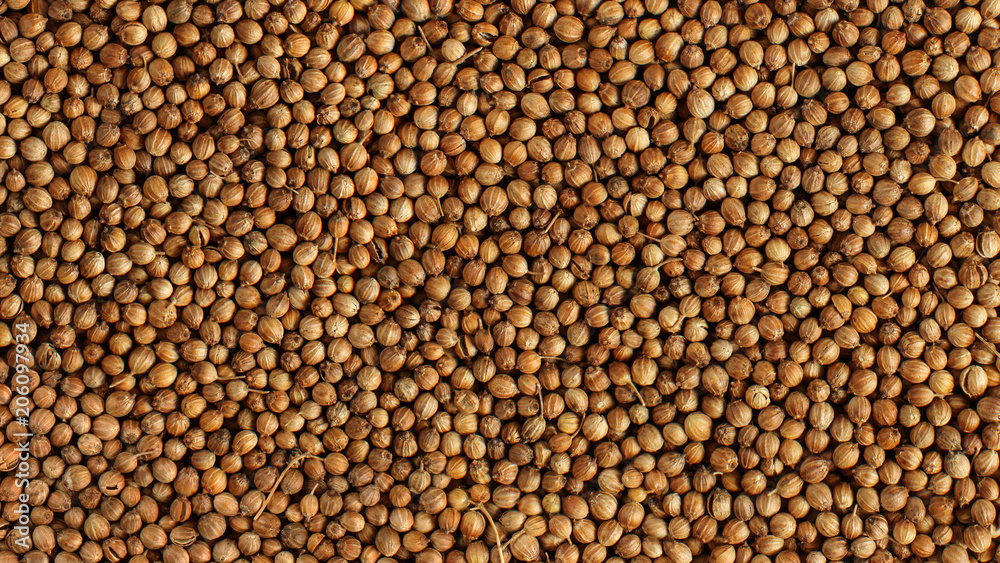 Closeup detail photo of coriander (Coriandrum sativum) dried seeds heap shot from above. Closeup detail photo of coriander (Coriandrum sativum) dried seeds heap shot from above.