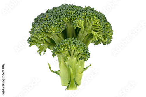 green fresh broccoli on white background